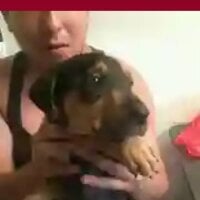 tulindocorazon