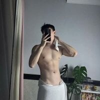 gayvietnamxxx