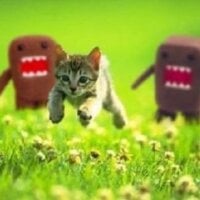 charliekillskittens' Profile Pic