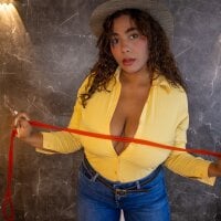 Morochaa-fire webcam model