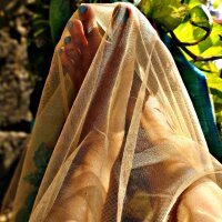 Guddu__'s Profile Photo