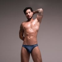 Sirs_papi webcam