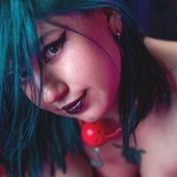 Jensen_hill webcam model