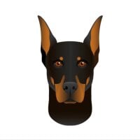 twisted_xx's Avatar Pic