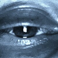 daniellikan webcam