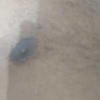 غرفة دردشة Bigbull567 دون اتصال