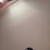 Dung_x