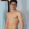 merlin_tawer