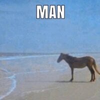 Foto do avatar de Shitass6954