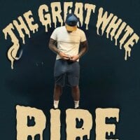 Thegreatwhitepipe webcam
