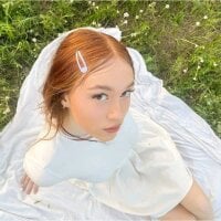 MarieNet webcam model