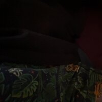 PLUK16's Profile Photo