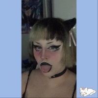 ห้องแชทออฟไลน์ของ DiemBardot