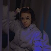 Lillefrokennala webcam