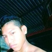 ehz12 webcam