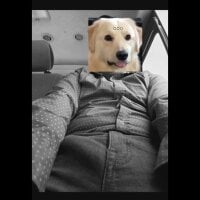 perropoderoso webcam