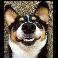 jackson862's Avatar Pic