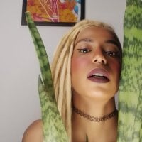 Helenoir webcam model