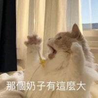 Happybugking's Profile Pic
