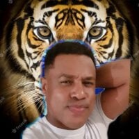 maxperteson webcam