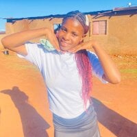 pfani1523 webcam model