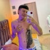 Nascary_Fox