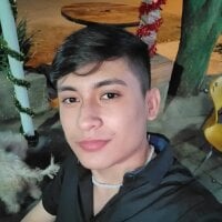 Bruno_falcon