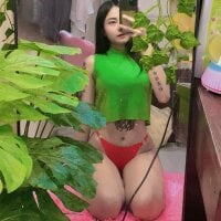 Namsmall webcam