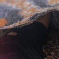 elflacojunnior