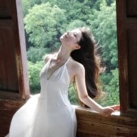 Koibear 头像图片