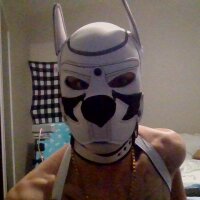 Shotwell19k420 Stripchat