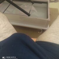 Damperc1 Stripchat