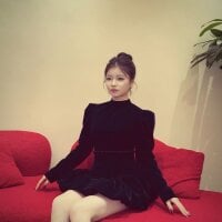 Rabbit-68 webcam model