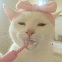 xixi_xixi_xixi: изображение аватарки