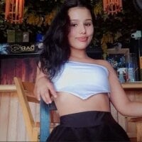 Offline chatovací místnost Disam_ws