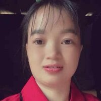 Noelle-e webcam model