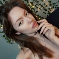 ice_marcy webcam model