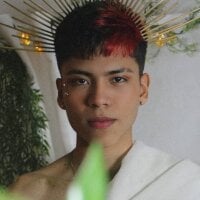 MaxiWildd webcam