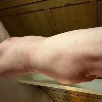 dominogames60's Profile Photo