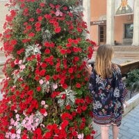 pandalorian webcam model