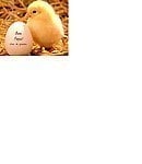 giangio60's Avatar Pic