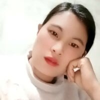 cam_5733 webcam model