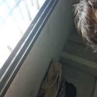 kajallkumarii webcam model