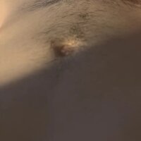 Gggg22234