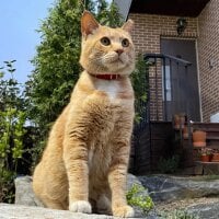 Serious6974's Avatar Pic