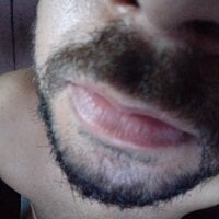 lm279 webcam