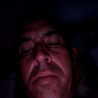 Thelinces50 webcam