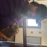 ห้องแชทออฟไลน์ของ Love-Cum69