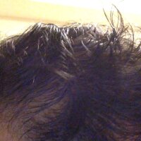 ห้องแชทออฟไลน์ของ tonarinoojisan