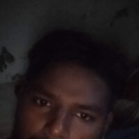 PerfectVice484 webcam